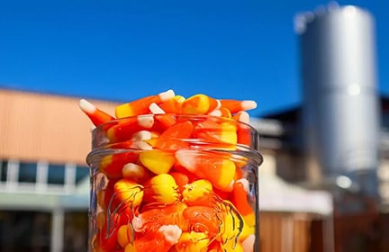 tBeer Candy Pairings